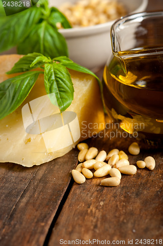 Image of Italian basil pesto ingredients