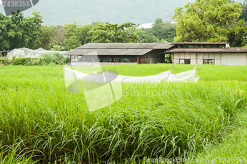 Image of Agricultural shed and green crops field