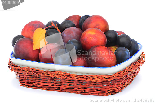 Image of Plums and prunes in a vase for fruit on a white background.