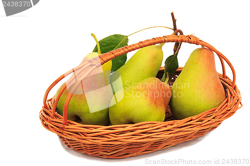 Image of Large ripe pears in a wicker basket on a white background.
