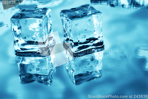 Image of Ice Cubes