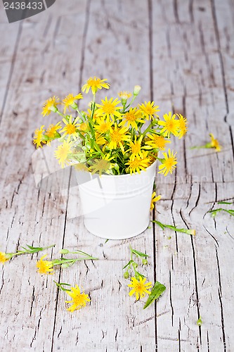 Image of wild yellow flowers in bucket