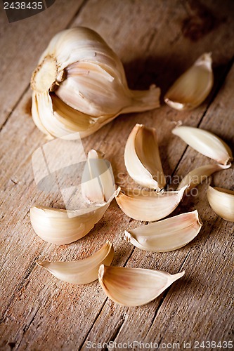 Image of fresh garlic 