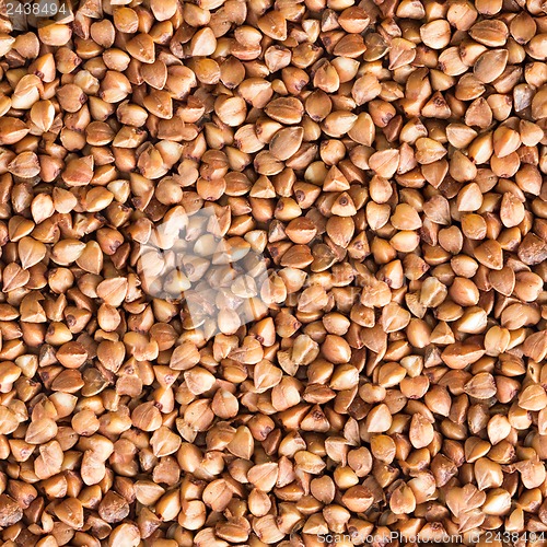 Image of Buckwheat Groats. Seamless Tileable Texture.