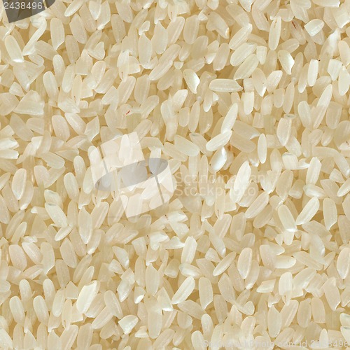 Image of Rice. Seamless Tileable Texture.