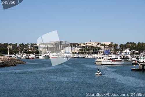 Image of Long Beach Aquarium