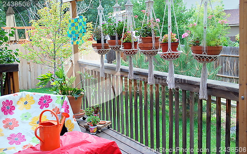 Image of Patio flowers.
