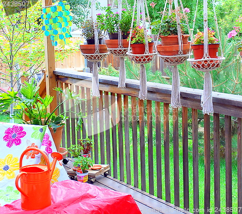 Image of Patio flowers.