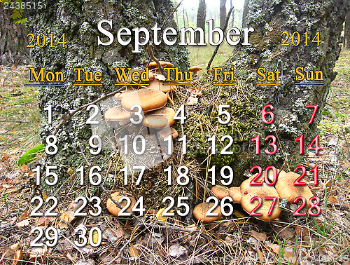 Image of calendar for the September of 2014 with mushrooms