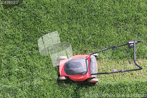 Image of Grass cutter at the lawn