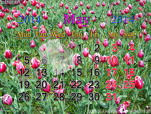 Image of calendar for May of 2014 with tulips