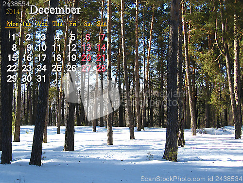 Image of calendar for the December of 2014 with picture of winter forest