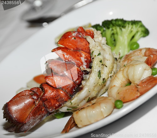 Image of Lobster Tail And Shrimps