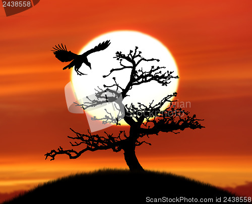 Image of Tree Silhouette And A Bird Against Sunset