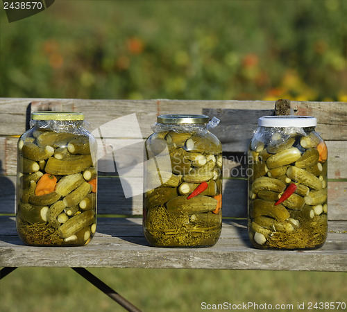 Image of Pickled Cucumbers