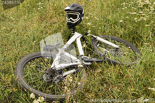 Image of Bicycle in the grass