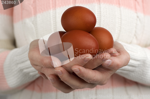 Image of egg