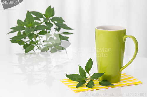 Image of Green teacup and fresh mint