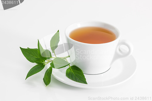 Image of Cup of tea with fresh mint