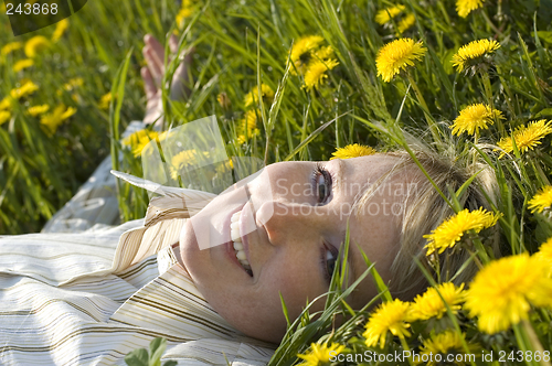 Image of flowers