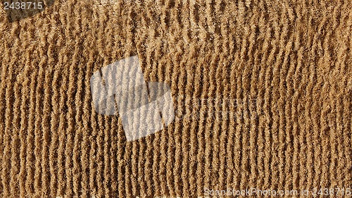 Image of Old beige floor carpet