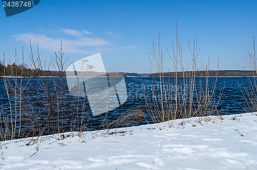 Image of Snowy shore of Glienicke lake on Havel river