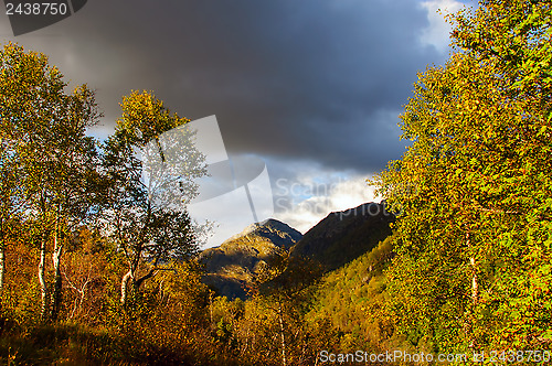 Image of Evening in the mountains