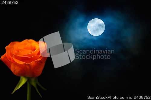 Image of Rose and moon