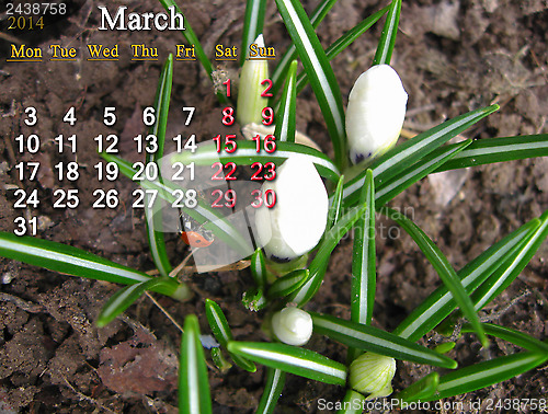Image of calendar for the March of 2014 year