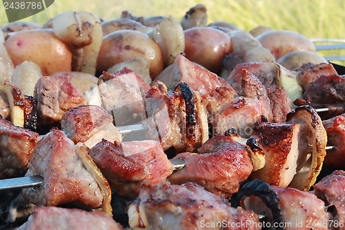 Image of appetizing barbecue on the fire