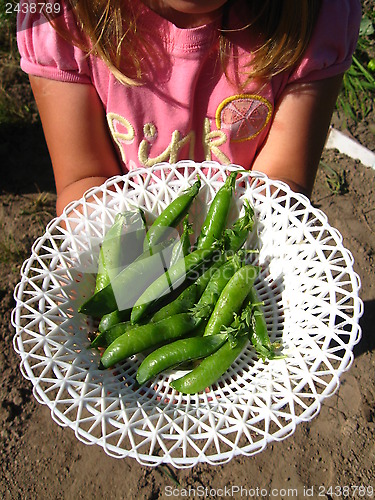 Image of little girl proposes fresh peas