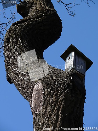 Image of Bird's house on a curve tree