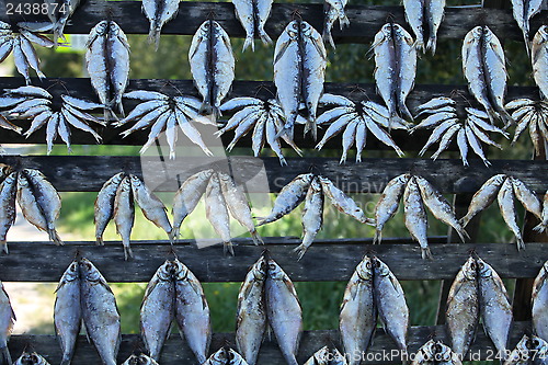 Image of Dried Fish