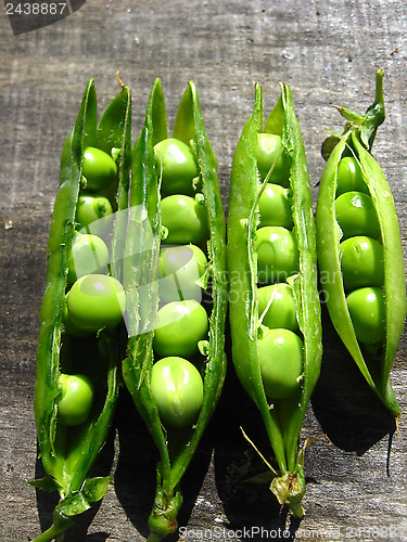 Image of Fresh green pea pods