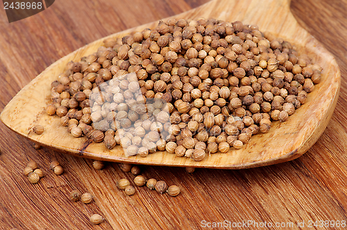 Image of Coriander Seeds