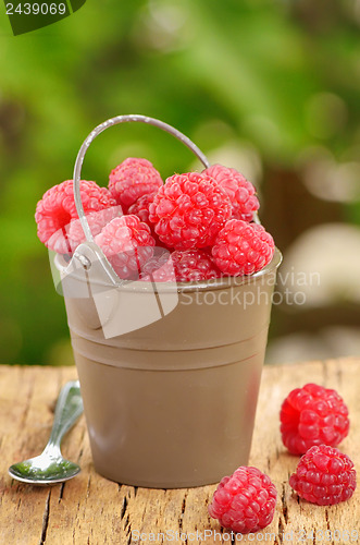 Image of Raspberry  in a bucket