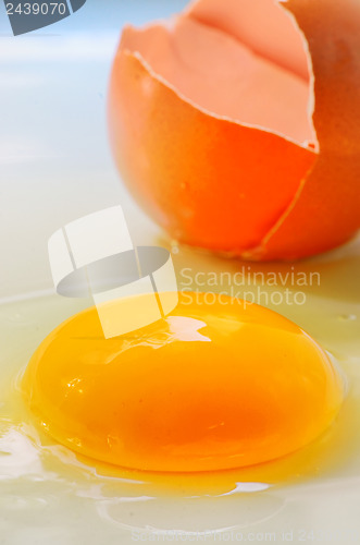 Image of Broken egg isolated 