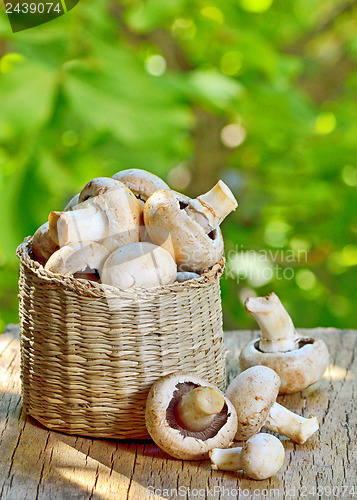 Image of mushrooms in straw basket