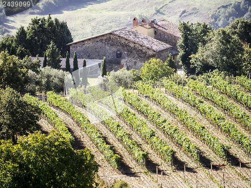 Image of Tuscany wine