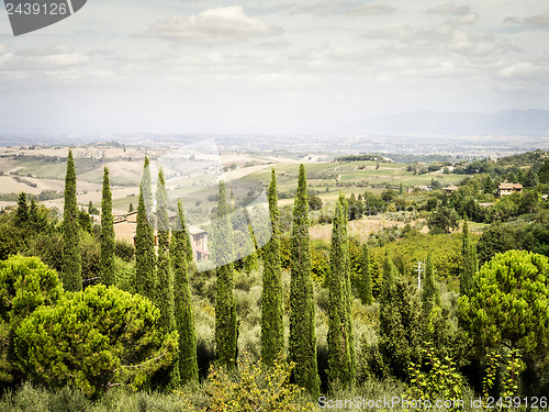 Image of Tuscany