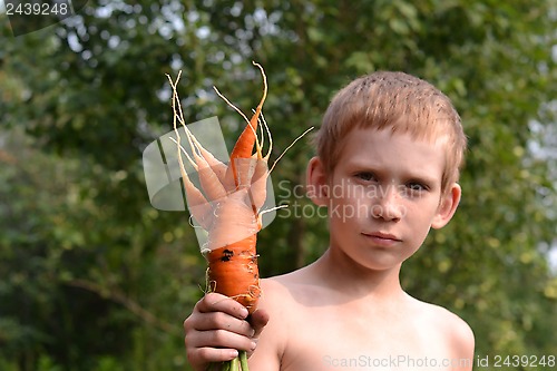 Image of The boy with amusing carrot