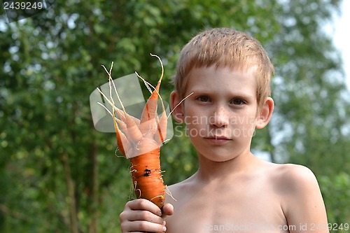 Image of The boy holds amusing carrot in a hand.