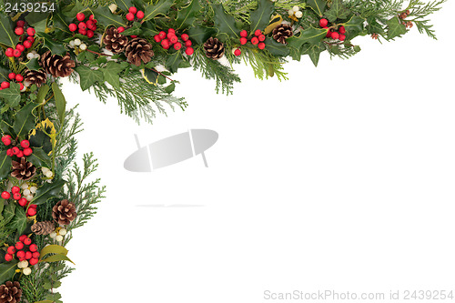 Image of Christmas Floral Border