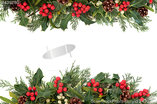 Image of Christmas Holly Border
