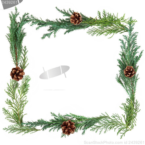 Image of Winter Greenery Border