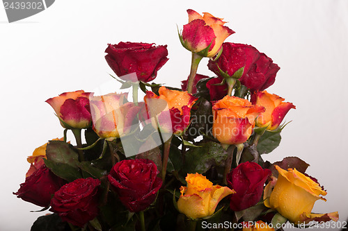 Image of Rose bouquet