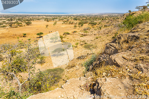 Image of Abjatta-Shalla national park