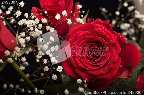 Image of Red rose