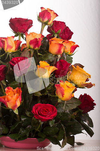 Image of Rose bouquet