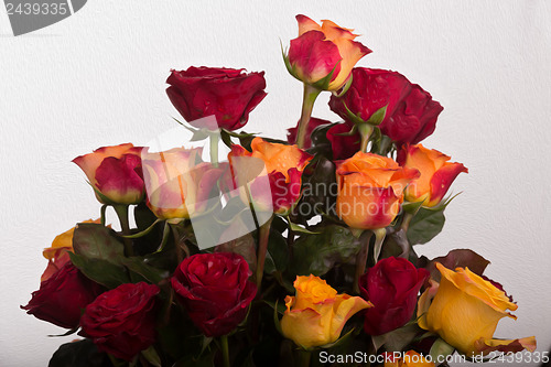 Image of Rose bouquet